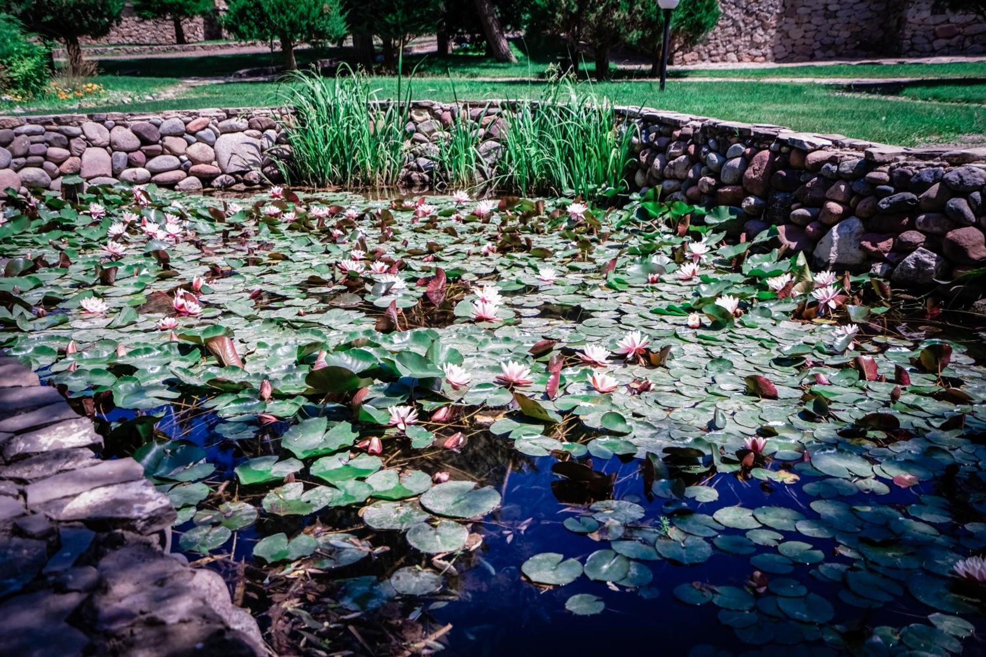 Burchmulla Chatcal Mountains Resort מראה חיצוני תמונה